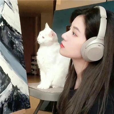 哈莉·奎茵第一季