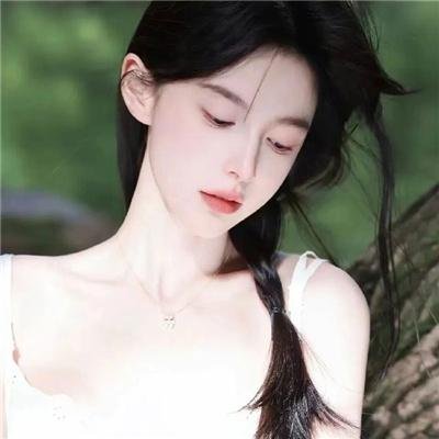 海龟故事